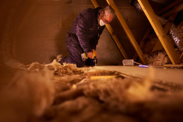 Best Home Insulation Services  in Carlisle, IA